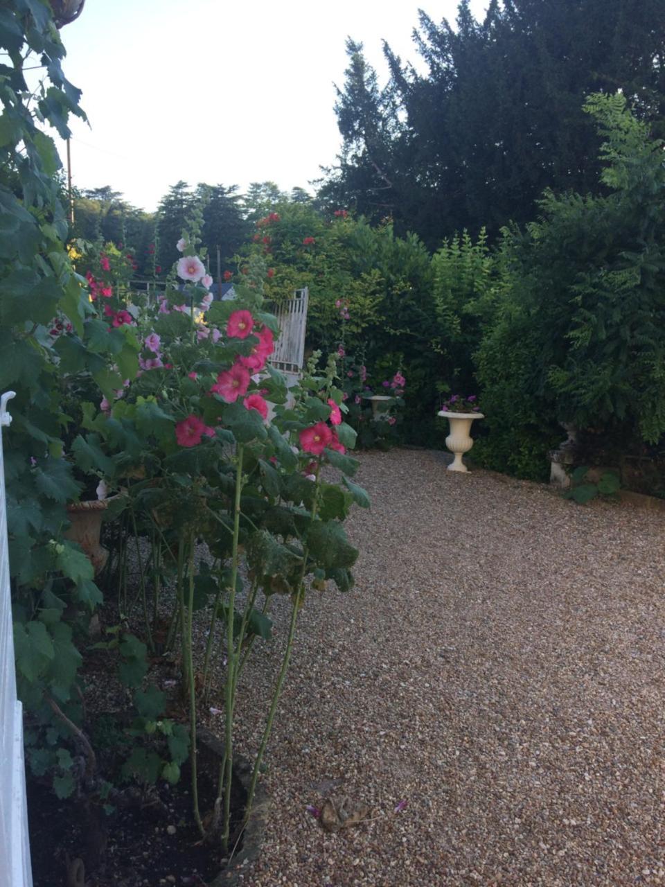 Le Clos Mademoiselle Loches Exteriör bild