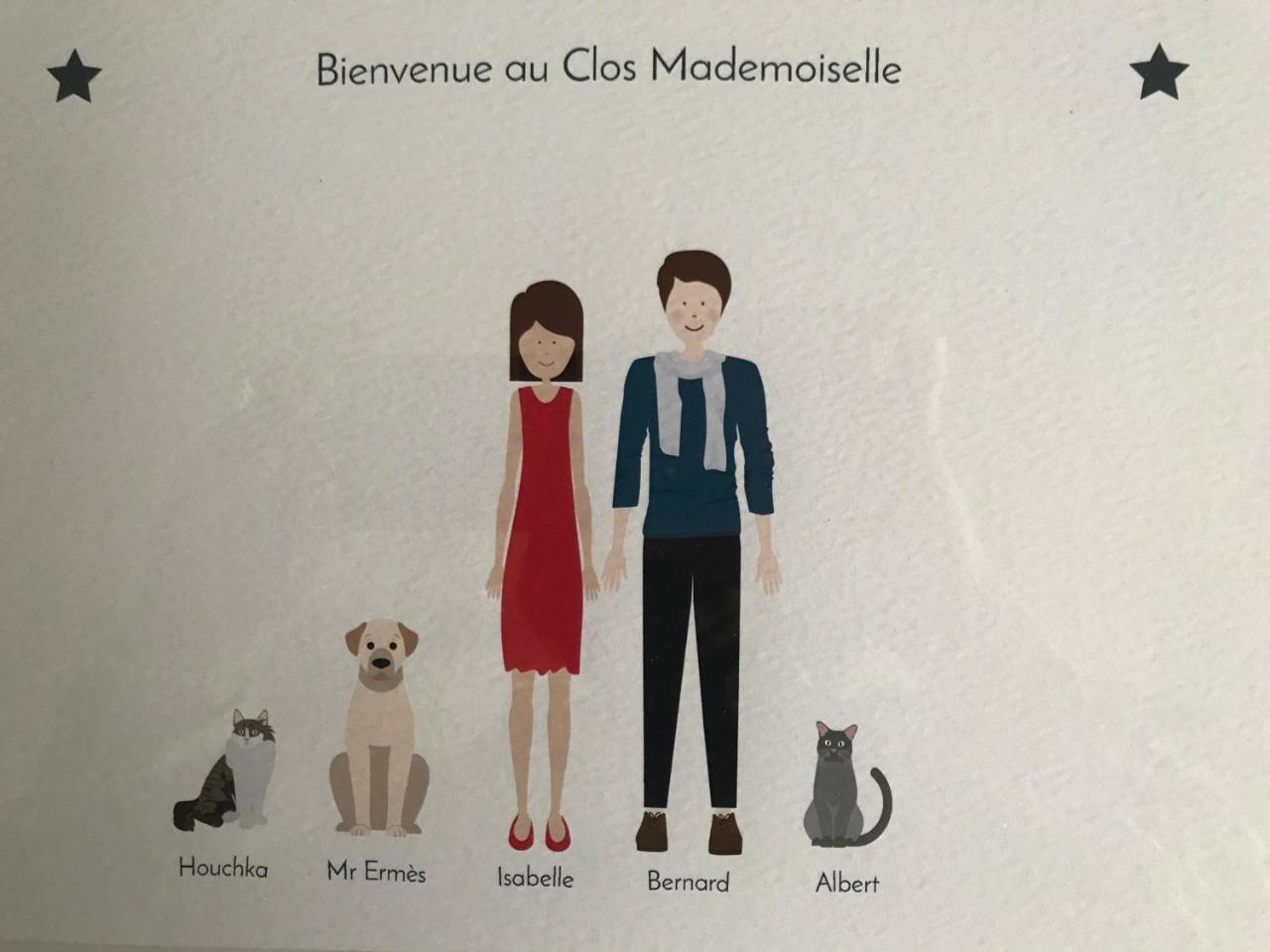 Le Clos Mademoiselle Loches Exteriör bild